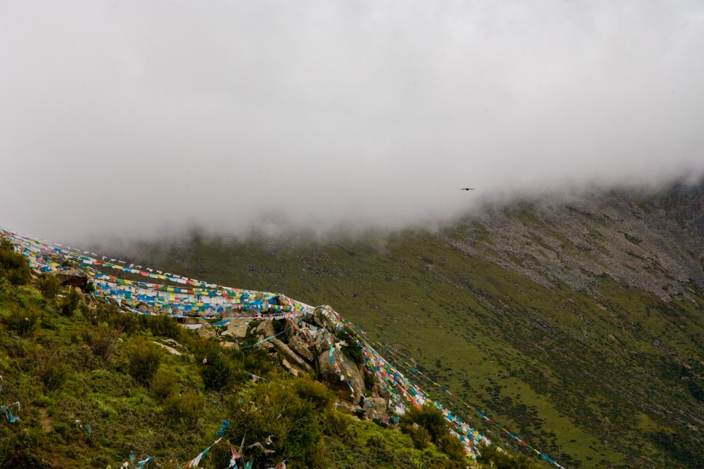 Bird In Flight ~ Above Longchenpa's Hermitage ~ Gangri Tokar ~ Tibet